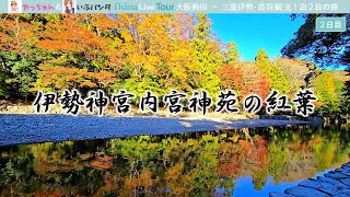 【伊勢神宮】伊勢神宮内宮神苑の紅葉（20241125） [upl. by Pleasant]