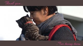 【HARUHI】Hizumi【If Cats Disappeared From The World】【EnglishRomaji lyrics】 [upl. by Einram813]