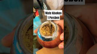 Yerba Mate kisokos KEZDŐKNEK 1 percben🧉yerbamate hungary egeszseg [upl. by Pinkerton68]