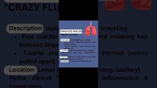 Crackles Rales quotCrazy Fluidquot Abnormal lung sounds [upl. by Lux]