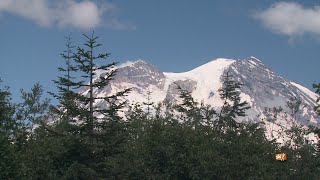 The lifecycle of salmon begin and end in forests [upl. by Leveridge]