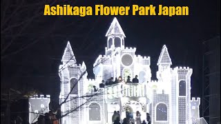 Ashikaga Flower Park Japan ashikagaflowerpark ashikaga 2024 japan japanparkour touristplace [upl. by Rene]