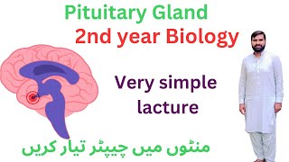 pituitary gland  12 class biology  2ndyearbiology [upl. by Netsirt]