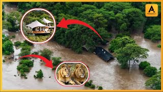 FLOODS IN MASAI MARA TOURISTS STUCK EVACUATED AFTER HOTELS amp LODGES SUBMERGED [upl. by Refannej]