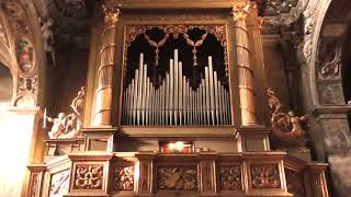 PONCHIELLI  ORGAN MUSIC  LarghettoAllegretto [upl. by Mayrim]