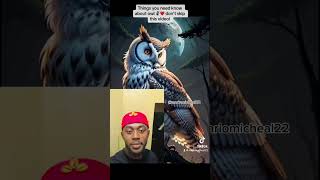 Ideological truths about this bird call owl 🦉 owl animals youtubeshorts northernspottedowl [upl. by Eerrahs]