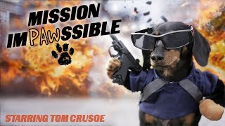 MISSION IMPAWSSIBLE  Funny Wiener Dog Action Movie [upl. by Jesselyn349]