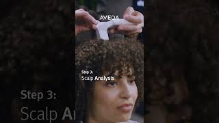 Experience Our Hair amp Scalp Check  Aveda [upl. by Ulysses757]