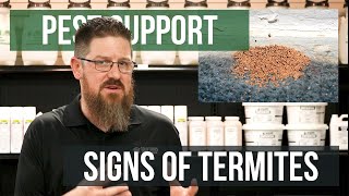 What Are Visible Signs of Termites  Pest Support [upl. by Scott27]