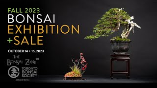 Toronto Bonsai Societys 2023 Fall Show and Sale The Bonsai Zone Oct 2023 [upl. by Gustavus]