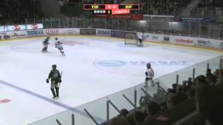 Hockeyallsvenskan 201213 Omgång 11 Tingsryd AIF  Djurgårdens IF [upl. by Ravid]