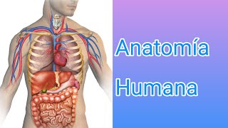 Anatomía Humana y sus sistemasParte 1Enfermeríaenfermería [upl. by Anidem416]