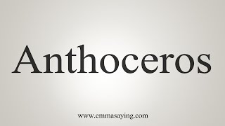 How To Say Anthoceros [upl. by Vullo299]