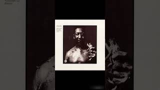 Muddy Waters  After The Rain 1969 FULL ALBUM [upl. by Ciryl861]