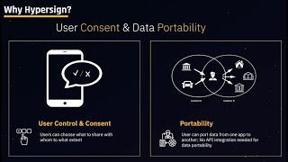 Game Profile Portability  Self Sovereign Identity SSI  Demo  User Control amp Consent [upl. by Ecad]