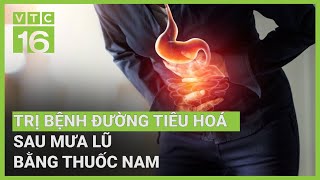 Cây thuốc trị bệnh đường tiêu hoá tiêu chảy đau bụng hiệu quả  VTC16 [upl. by Krantz882]