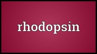 Rhodopsin Meaning [upl. by Iblok]