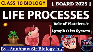 Blood and its components l Lymph l Lymph Node l Lymphatic System l Life process l Platelets l board [upl. by Kegan]