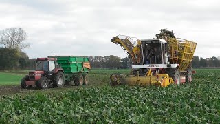 Beet harvest with Beumaco [upl. by Sasnett]