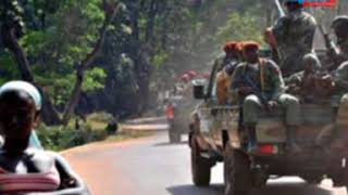 Casamance  13 coupeurs de bois tués par les rebelles [upl. by Bertrando495]