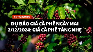 Dự báo giá cà phê ngày mai 2122024 Giá cà phê tăng nhẹ [upl. by Imled]