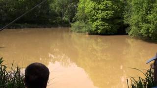 AMAZON WOOD FISHERY POLEGATE EAST SUSSEX [upl. by Bandler]