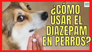 🆘 COMO USAR EL DIAZEPAM COMO TRANQUILIZANTE DE HUMANOS PARA PERROS 🆘 DOSIS [upl. by Gean]