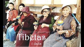 Kelionė į Tibetą 1 Dalis Čia laisvai keliauti draudžiama bet patekę nesigailėsite [upl. by Barthol240]