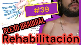 Rehabilitación Plexo Braquial 39 miproceso [upl. by Tenaej]