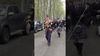 The massed Pipes and Drums of Scottish Highlands marching to Dunrobin Castle in 2019 shorts [upl. by Ecinehs]