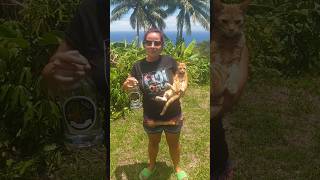 Happy Fiji Day 2024 🇫🇯 💙 independence fiji vlog [upl. by Sholes]