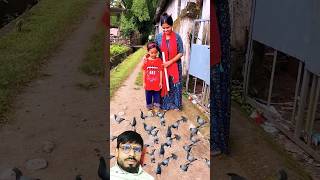 Kabutaro ko dana dalen love baby funny cutebaby cute kgfchapter2 music kgf song bollywood [upl. by Eanad514]