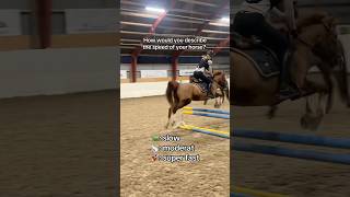 Comment 🐢 🐇 or 🚀 equestrian horse horses pony pferde cheval hest trending funny fun [upl. by Halueb]