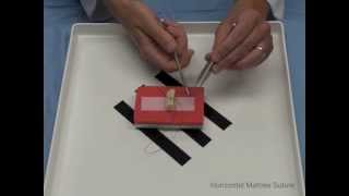 Horizontal Mattress Suture [upl. by Maitund]