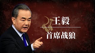 王毅：首席战狼！｜习近平 ｜温家宝 ｜胡耀邦 ｜江泽民｜赵立坚 ｜华春莹 ｜耿爽 ｜卢沙野 [upl. by Coleman]