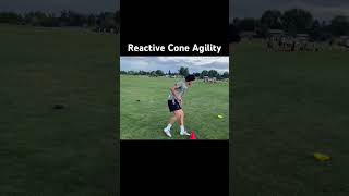 Reactive Cone Agility [upl. by Aamsa]