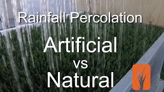 Artificial Grass vs Natural Grass  Percolation Rates [upl. by Eido]