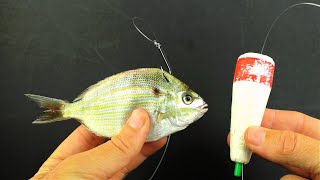 How To Use Live Pinfish On Grass Flats And AVOID These Common Mistakes [upl. by Hsur]