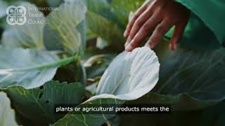 What is Phytosanitary Certification [upl. by Jordon]