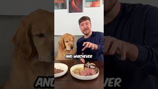 10000 ki steak 🥩 steak shorts dog food dogfood mrbeast vlog [upl. by Suvart489]