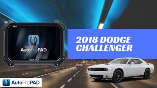 Programming a smart key to a 2018 Dodge Challenger  AutoProPAD [upl. by Woodall]