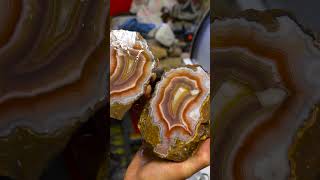 Lets cut and polish this large Laguna Agate [upl. by Joette]