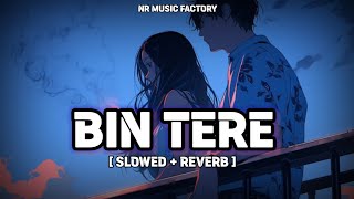 Bin Tere  Slowed  Reverb   Rakulpreet Singh ❤️ Jackky Bhagnani  NR Music Factory [upl. by Idrahs866]