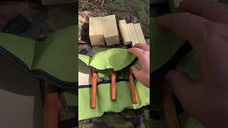 Wood Whittling Kit woodworking woodcarving whittling bushcraft inthewoods shortvideo shorts [upl. by Ungley]