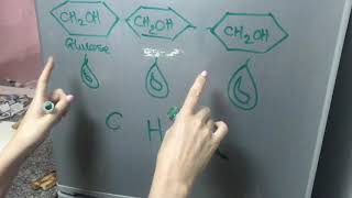 Dextrinisation explained [upl. by Gnilhsa548]