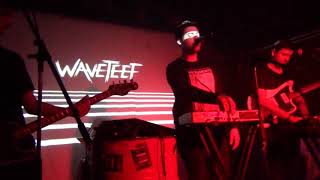 Blind Delon  Live  Waveteef 2018 JH Wommel [upl. by Liuka]