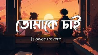 তোমাকে চাই slowed and reverb  arijit singh  LEGEND LOFI [upl. by Azial]