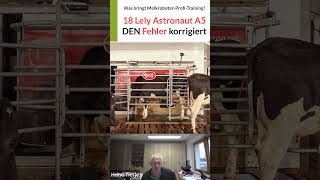 LELY Astronaut A5 Diese Fehler haben wir korrigiert melkroboter lely [upl. by Lionello]