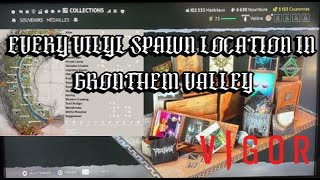 How to Get all Vinyls For Beginners All Vinyl Spawns In Grontheim Valley [upl. by Codding263]