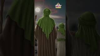 imam Hassan imam Hussain ki san islamic status shots video history islam [upl. by Jarib]